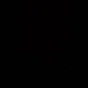 Meet your Posher, Kendall